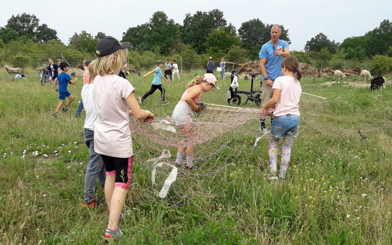 Jugendgruppe Schäferei Jugendgruppe Zaun stecken