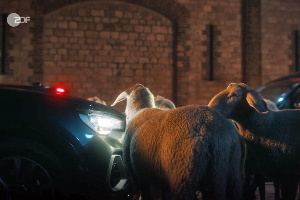 ZDF Weihnachstfilm mit unseren Schafen